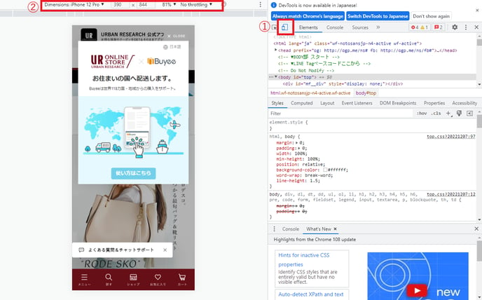 日本からアクセスした際にBuyee Connectのカートなどは見えますか？